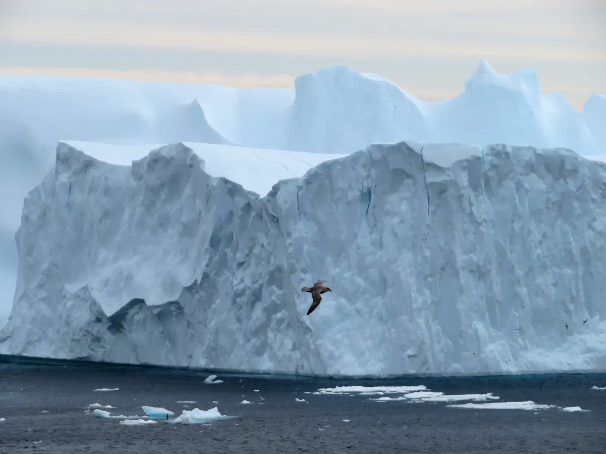 Iceberg lors d'une croisière en Arctique, © Sébastien Boulanger
